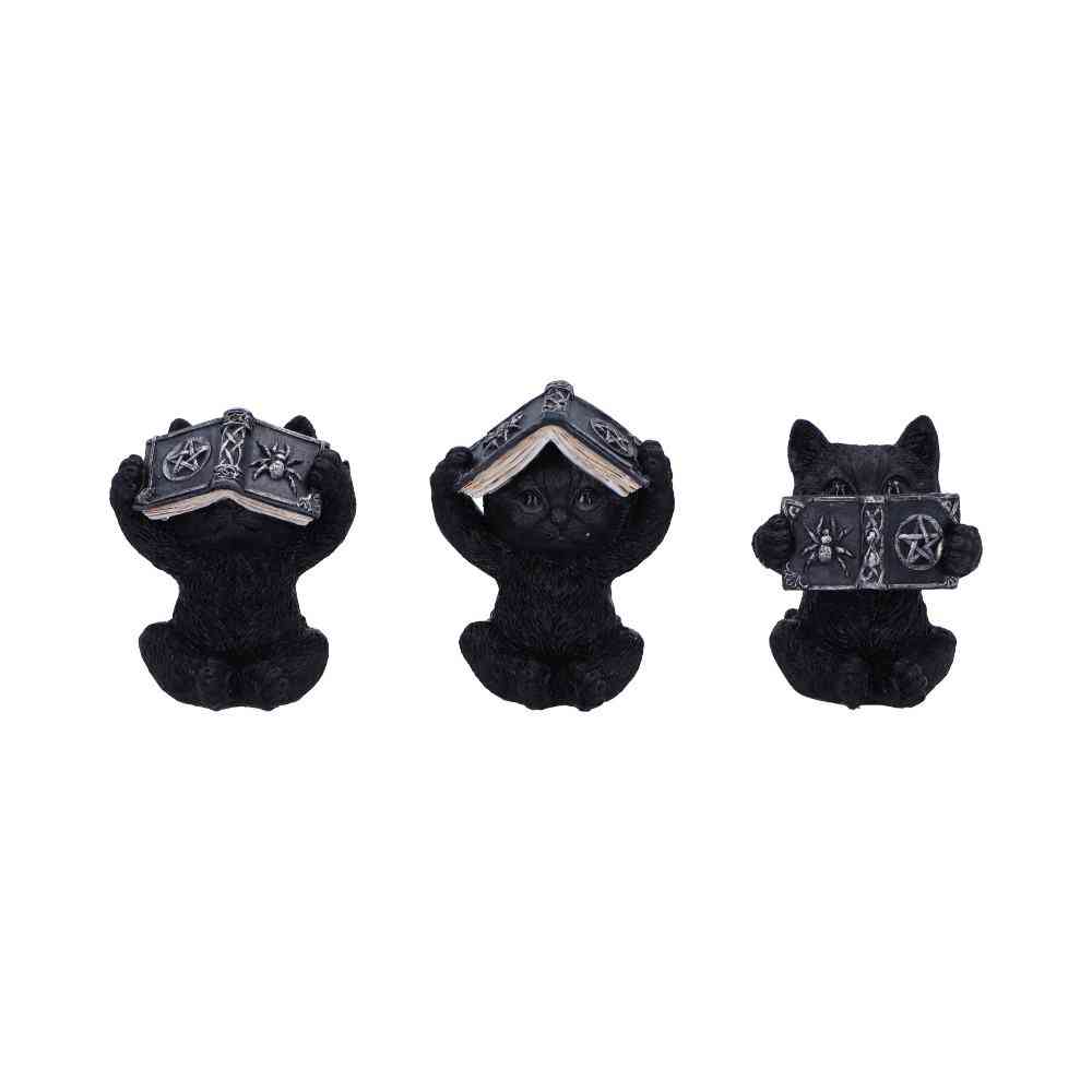 Nemesis Now - Three Wise Spell Cats 8.5cm Beeldjes/figuren - Multicolours